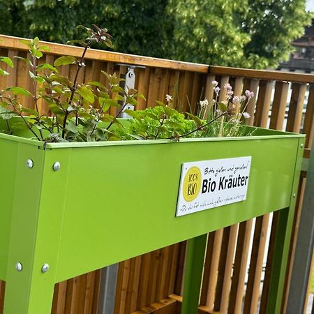 Pia Am See - Bio Design Appartement Bad Wiessee Zewnętrze zdjęcie